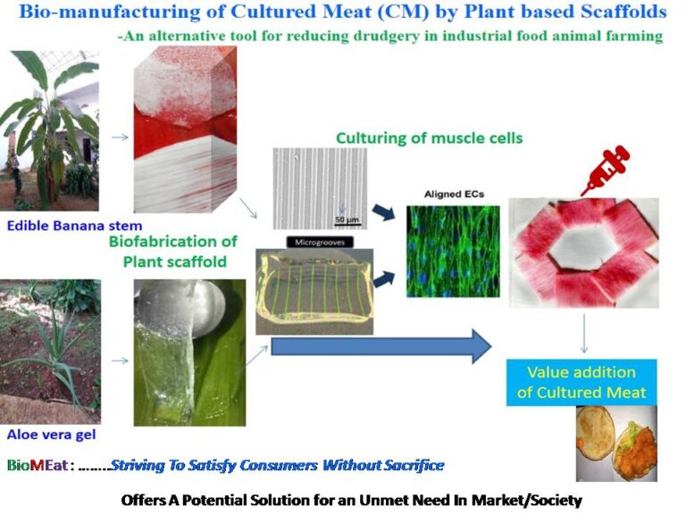 Poster Session Cellulose Fibres Conference